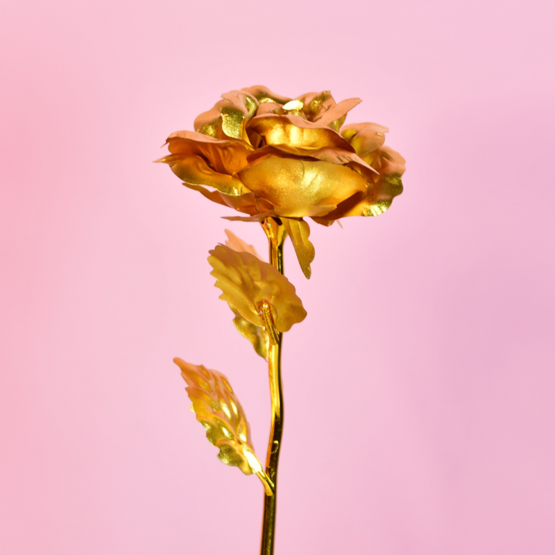 Sowpeace Golden Love