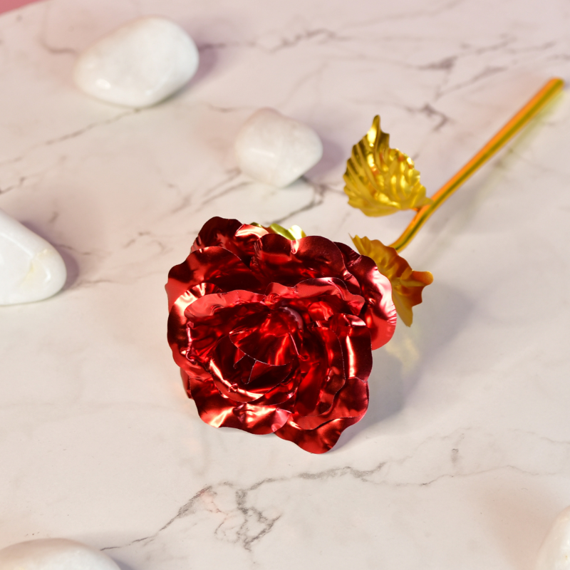 Sowpeace Scarlet Love