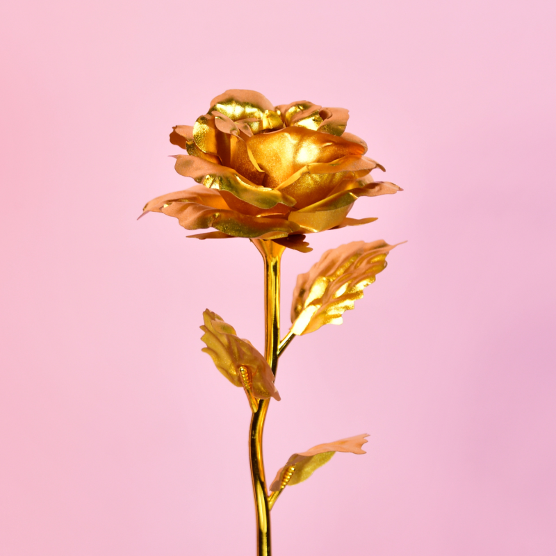 Sowpeace Golden Love