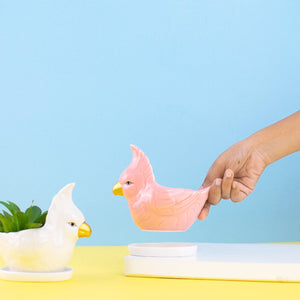 Parrot Ceramic Pot For Plants Planters June Trading Salmon Pink