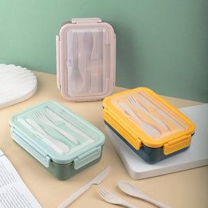 Edgy Two-Tone Refresh Lunch Box Lunch Boxes June Trading
