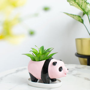 Panda Ceramic Pot For Plants Planters June Trading Blush Pink