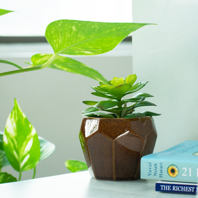 Brown Quirky Geometric Planter Planters June Trading