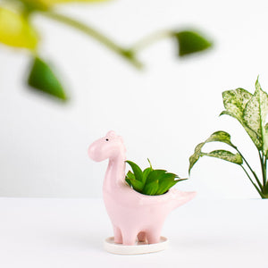 Dinosaur Ceramic Pot For Plants Planters June Trading Light Pink