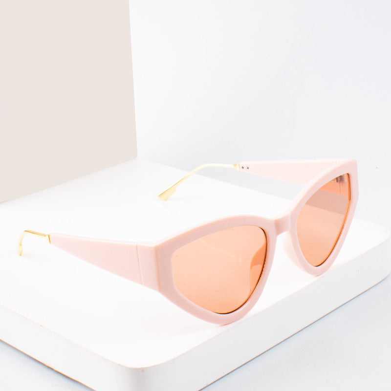 Classic Stealers Sunglass