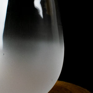 The Mixology Lounge Frosted Glass (Set of 2) Glasses June Trading