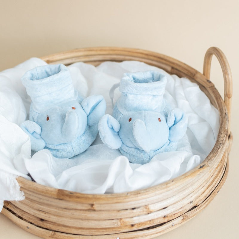 Cute Elephant - Baby Socks - Blue Baby Shoes June Trading