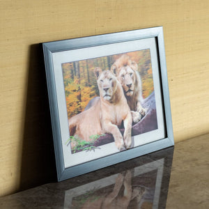 Lion Couple - 3D Photo Frame Photo Frames June Trading