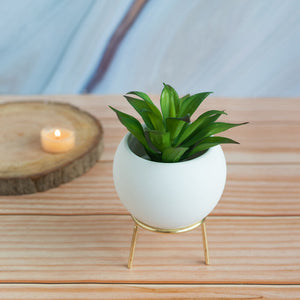 Circular Vase With Gold Metal Stand Vases June Trading