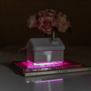 Home Humidifier Lamp Humidifiers June Trading