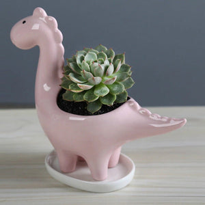 Dinosaur Ceramic Pot For Plants Planters June Trading