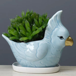Parrot Ceramic Pot For Plants Planters June Trading