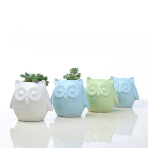 Owl Ceramic Pot For Plants Planters June Trading