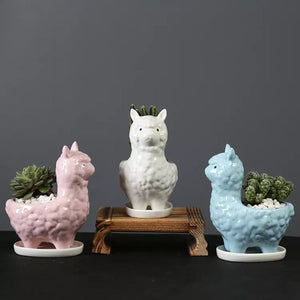 Llama Ceramic Pot For Plants Planters June Trading