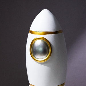 Chasing Stardust Spacecraft Sculpture Artifacts The June Shop