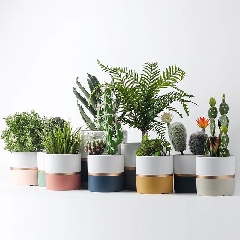 Elegant Pastel Dual Tone Planter Planters June Trading