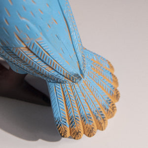 Ingenious Vibrant Toucan Artifacts June Trading