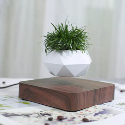 Magnetic Levitating Bonsai Geometric Pot With Wood Grain Base Levitating June Trading Dark Wood Base  