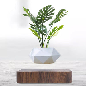 Magnetic Levitating Bonsai Geometric Pot With Wood Grain Base Levitating June Trading