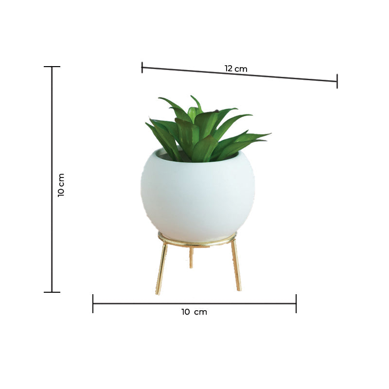 Circular Vase With Gold Metal Stand Vases June Trading   