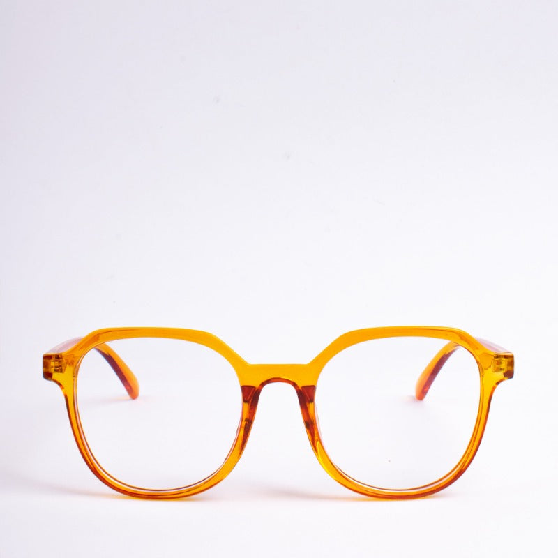 Ray Revolution Eyeglass