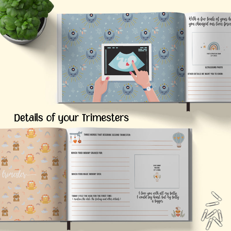 Baby Record Book - Oh Baby Baby Record Books June Trading   