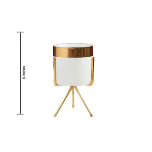 Gold Border Ceramic Vase Vases June Trading   