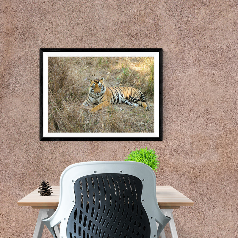 The Bengal Tiger - Photo Frame Photo Frames Lumoarte   