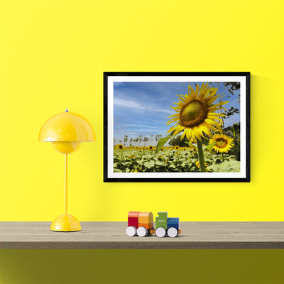 Sunflower Garden - Photo Frame Photo Frames Lumoarte   