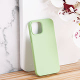 Colour Drop Silicone iPhone 12 Pro Max Case iPhone 12 Pro Max June Trading Lime Green  