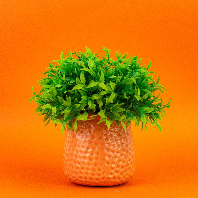 Embossed Planter - Resin Pot Planters June Trading   