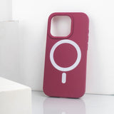 iPhone 15 Pro Max Summer Pastel Case (MagSafe)