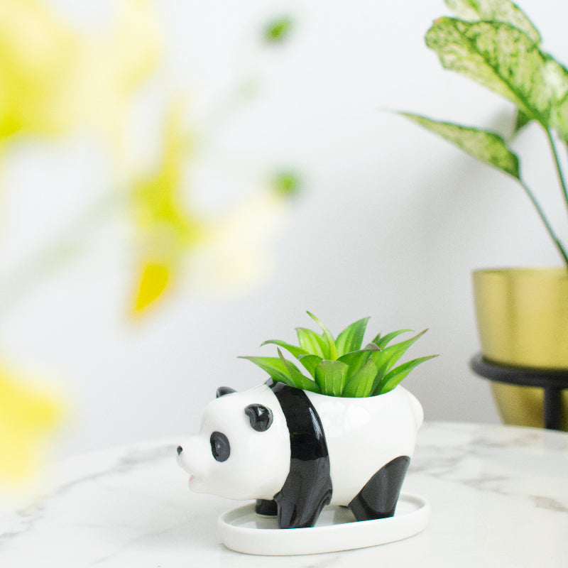 Panda Ceramic Pot For Plants Planters June Trading Frost White  