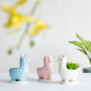 Llama Ceramic Pot For Plants Planters June Trading   
