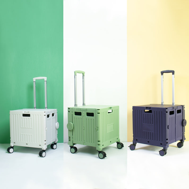 CarrySmart Collapsible Crate Trolley