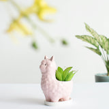 Llama Ceramic Pot For Plants Planters June Trading Crepe Pink  