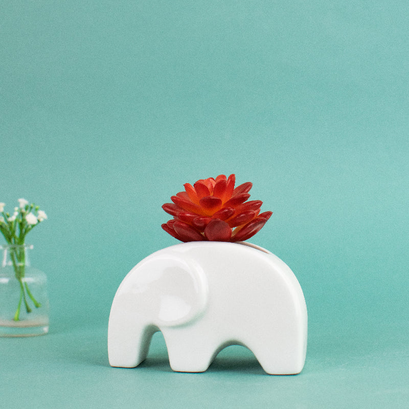 Ellphie Ceramic Pot For Plants Planters June Trading   