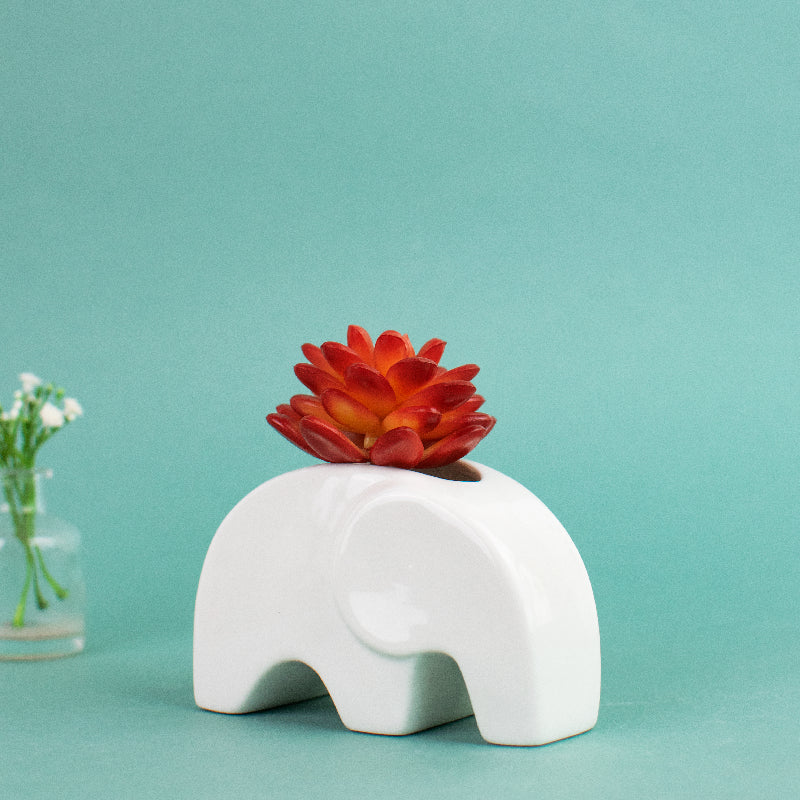 Ellphie Ceramic Pot For Plants Planters June Trading   