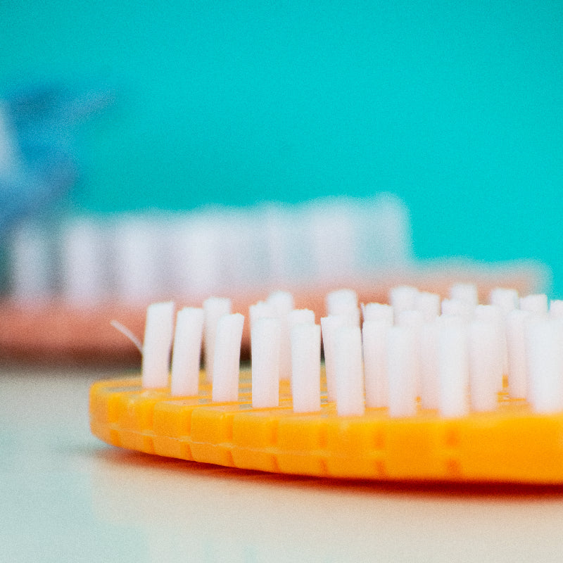 Fruit & Vegetable Cleaning Brush Cleaning Brush June Trading   