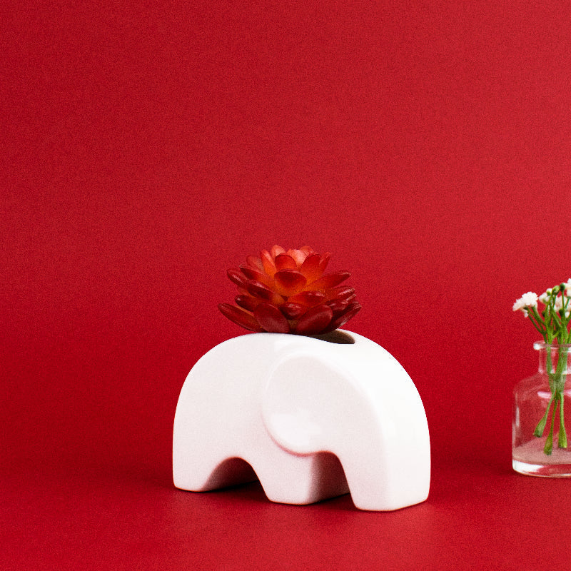 Ellphie Ceramic Pot For Plants Planters June Trading   