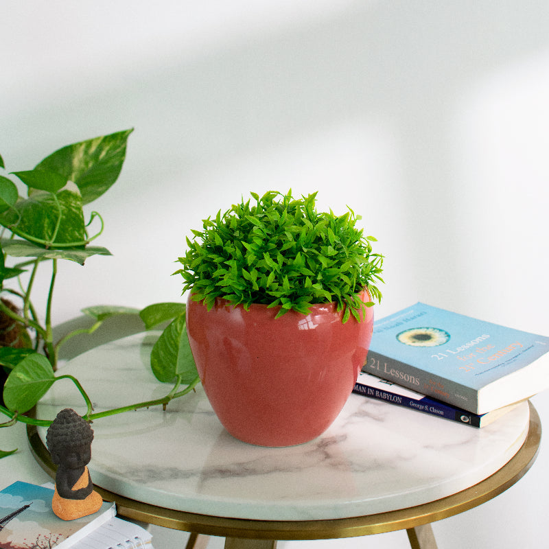 Basic Oval Planter - Hand Painted Resin Pot Planters June Trading Blush Red  