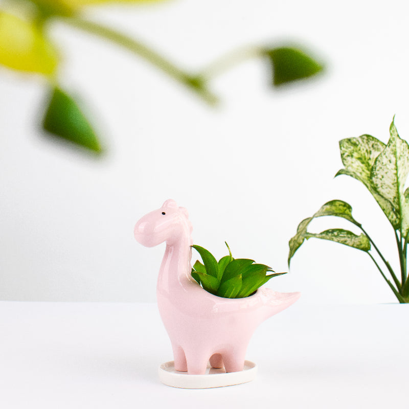 Dinosaur Ceramic Pot For Plants Planters June Trading Light Pink  