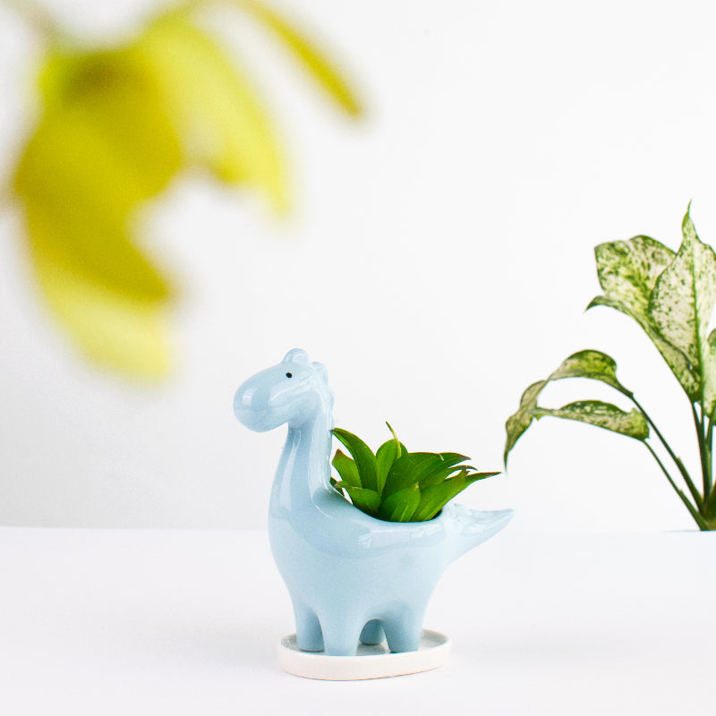Dinosaur Ceramic Pot For Plants Planters June Trading Cloud Blue  