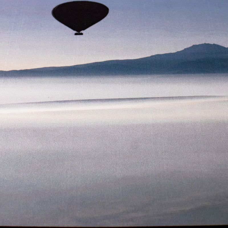 Fly In Bliss Versatile Desk Mat Desk Mats June Trading   