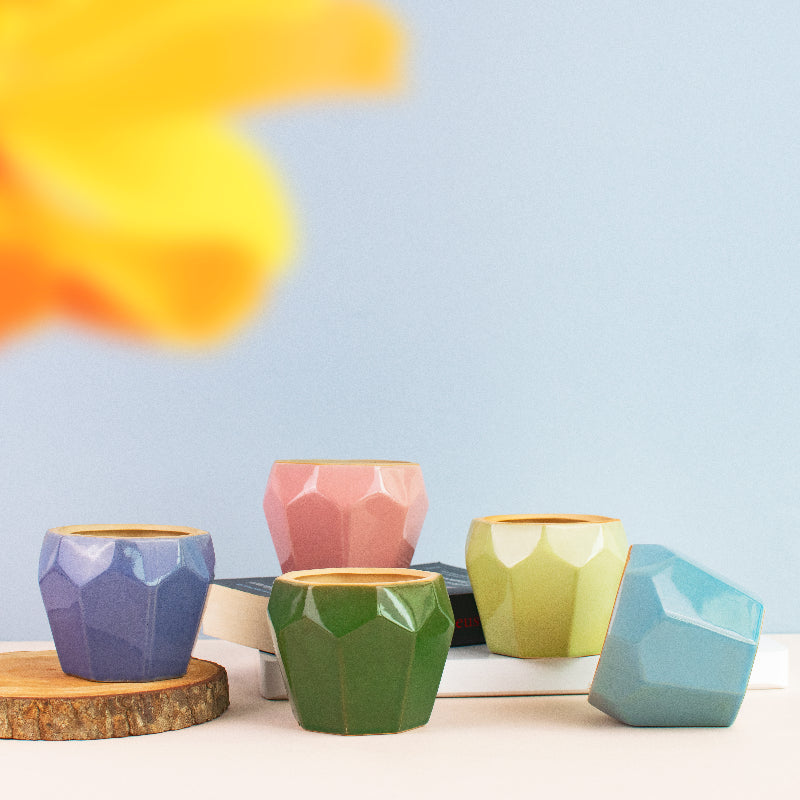 Quirky Geometric Planter Planters June Trading   