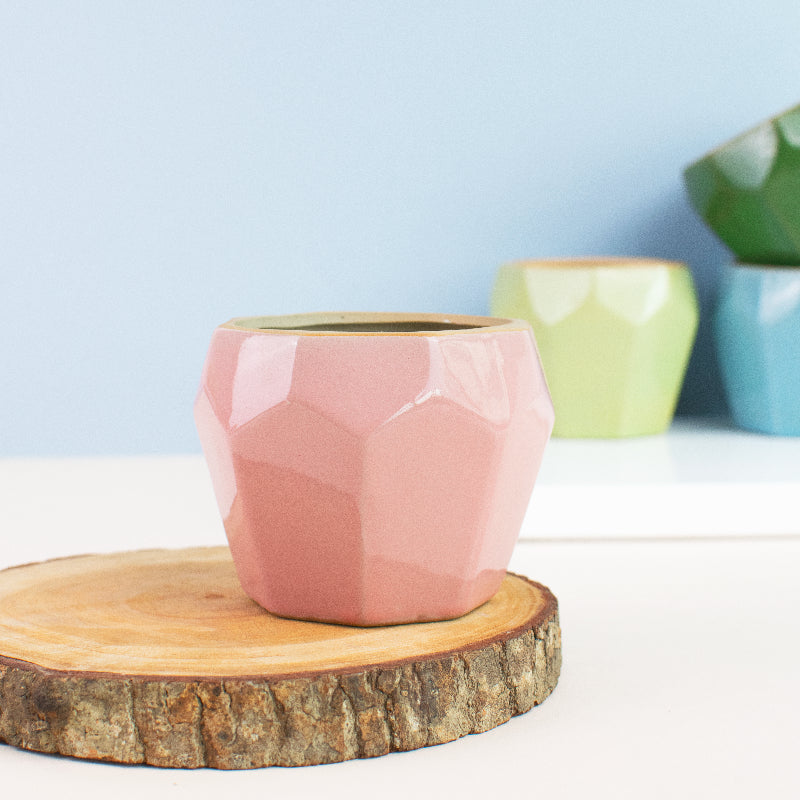 Quirky Geometric Planter Planters June Trading Crepe Pink  
