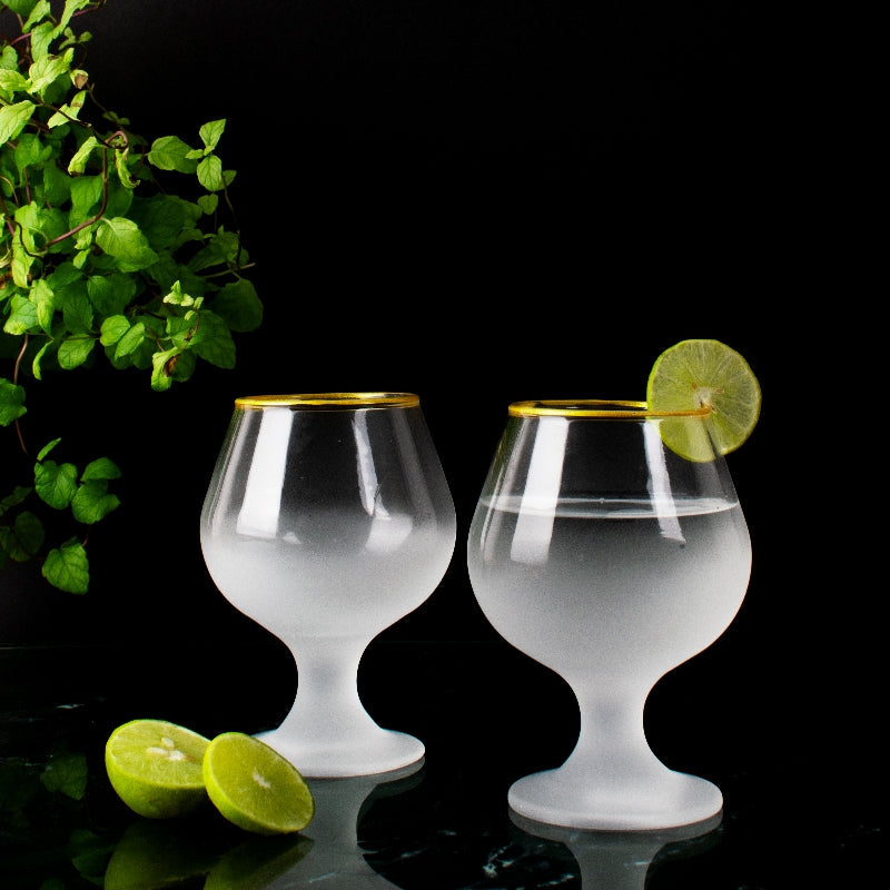 Elite Parlor Frosted Glass (Set of 2) Glasses June Trading   