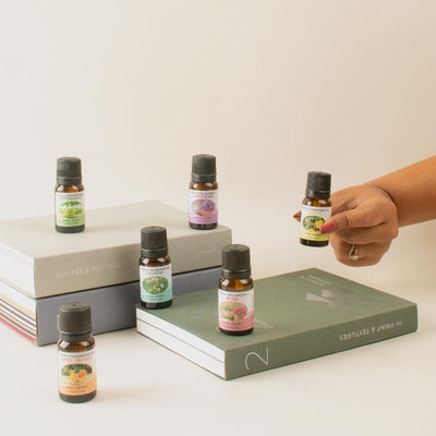 Aromatherapy Essential Oil (Set Of 6)