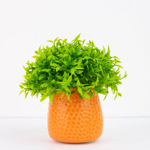 Embossed Planter - Resin Pot Planters June Trading   