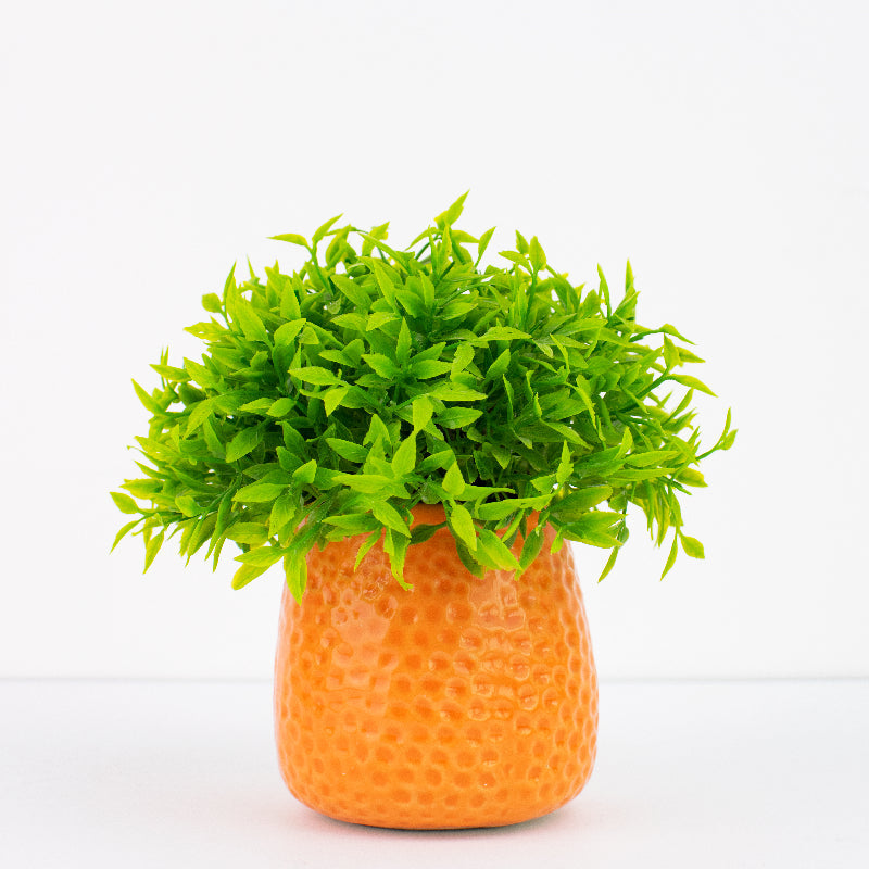 Embossed Planter - Resin Pot Planters June Trading   